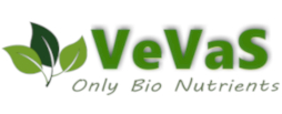 Vevas